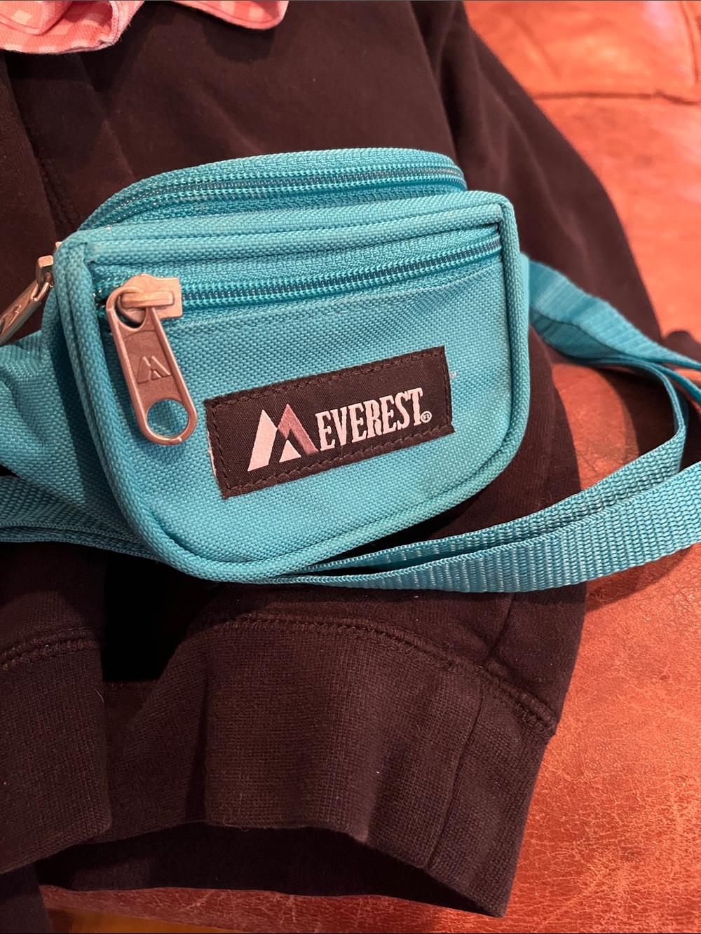 Mini Fanny Bag in Teal
